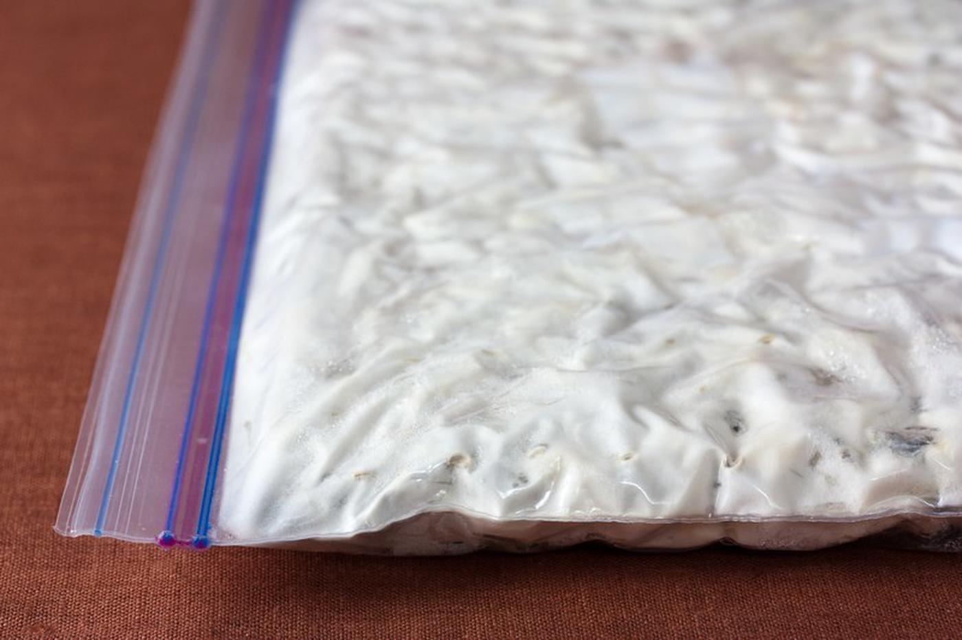 Image from the Miso, Tempeh, Natto & Other Tasty Ferments book: Tempeh in a sealed polyethylene bag