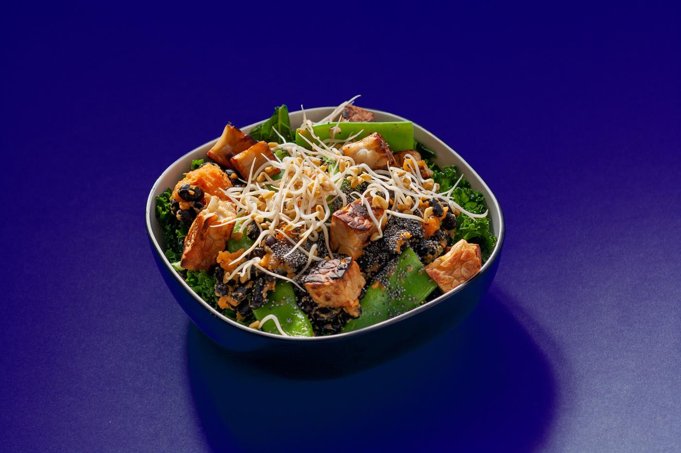 Our first online recipe, a winter salad with peanut tempeh, sweet potato, black beans, flat beans, kale, ginger, turmeric, soy sauce, poppy seeds ans fennugreek sprouts