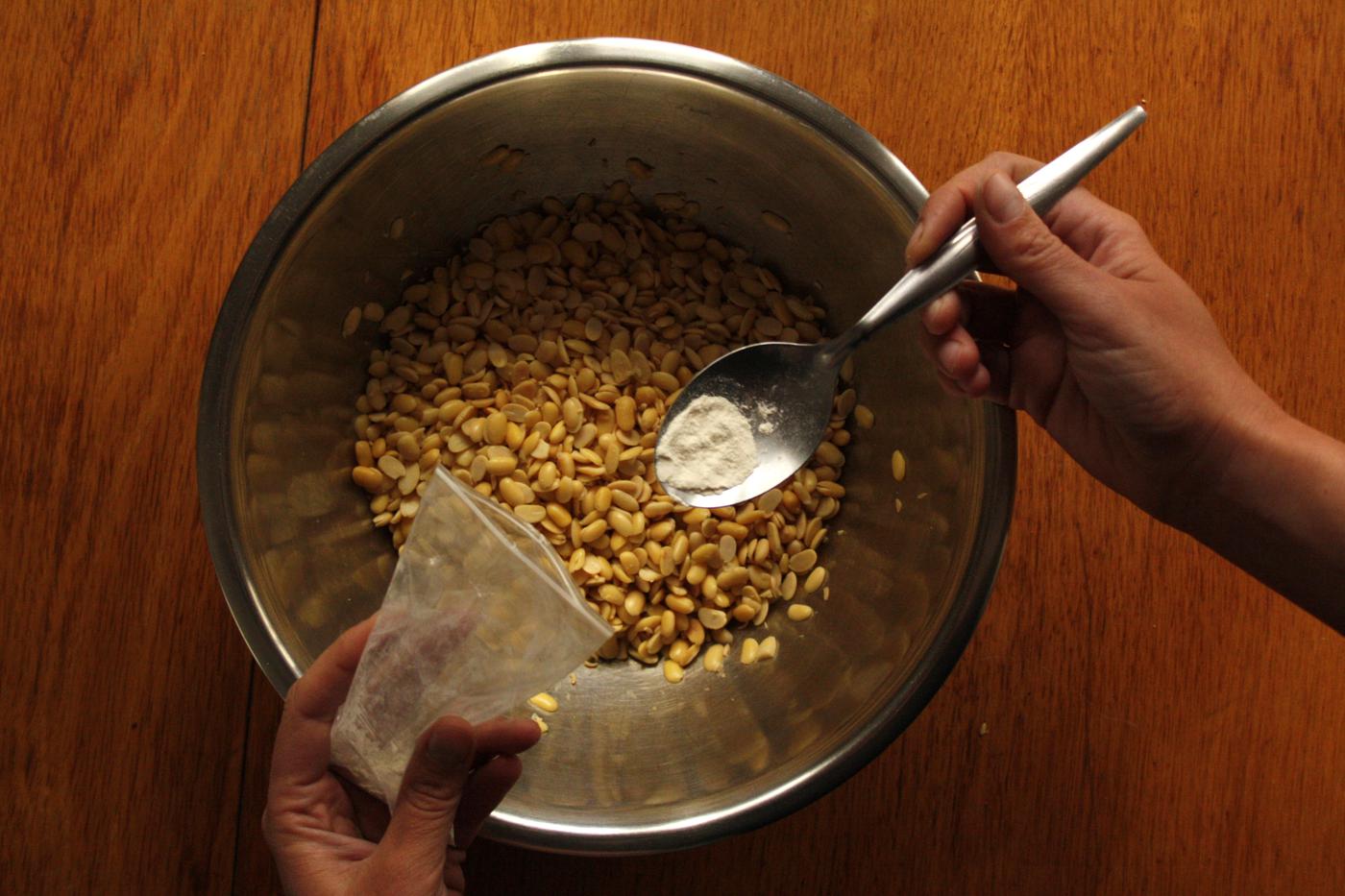 1⁄4 tablespoon of tempeh starter (rhizopus)