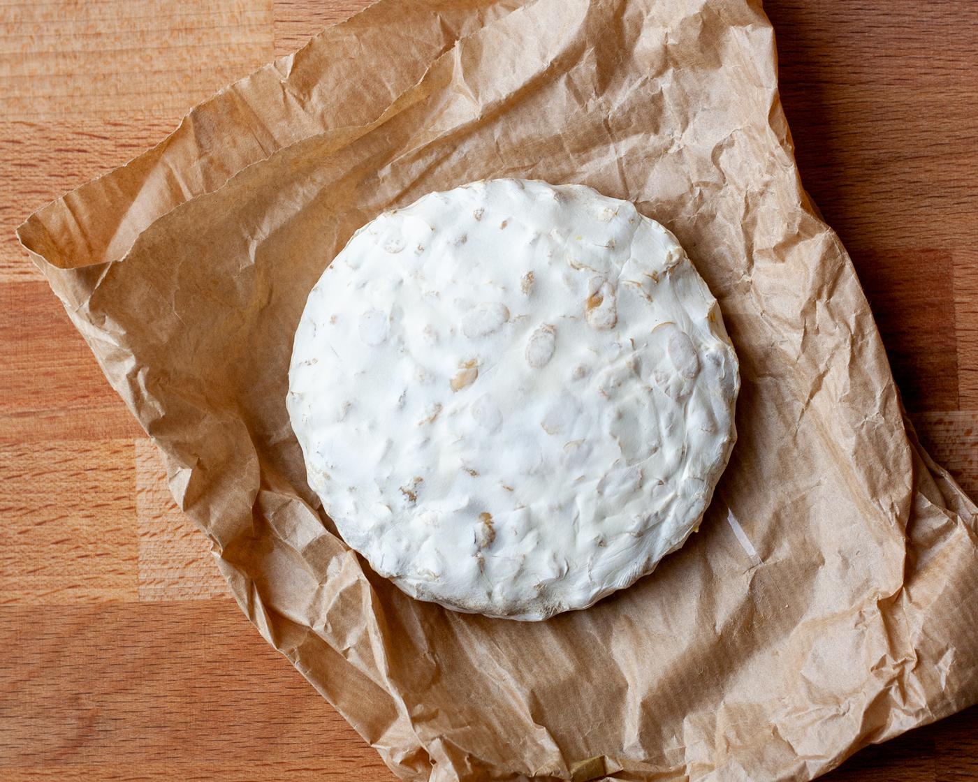 A fresh soy tempeh made with our Domingo fermenter