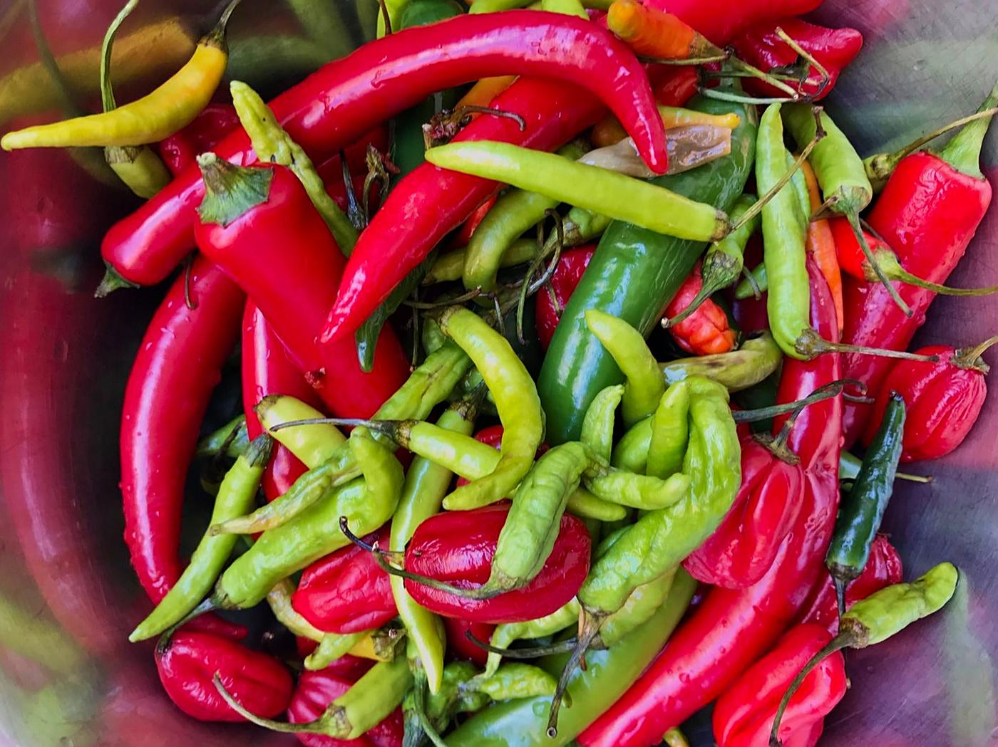 a selection of peppers