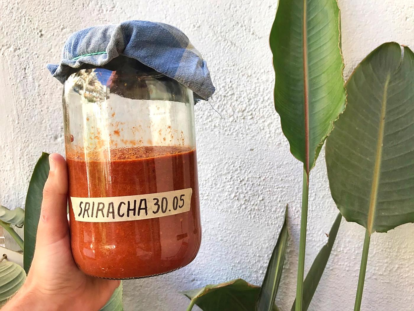 Let ferment!